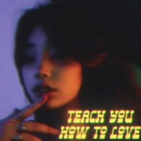 Teach You How to Love - Single - DW Santy & Animozic