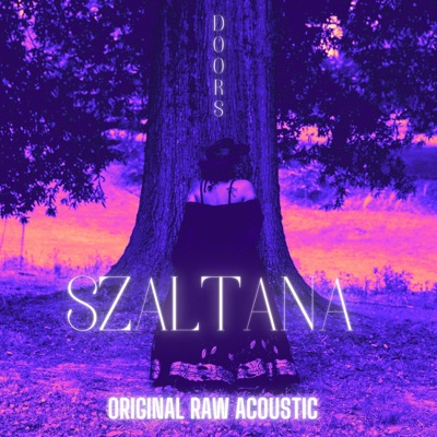 Doors (Original Raw Acoustic) - Single