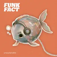 Peace of Mind — Funk Fact