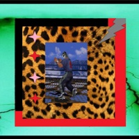 LEOPARD PIMP (feat. RICE & BREAD.) - Single - PiRT
