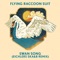 Swan Song (feat. Eichlers) [SKA&B Remix] - Flying Raccoon Suit lyrics