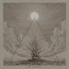 Sol Sistere - Nothofagus