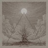 Sol Sistere - Nothofagus