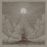 Nothofagus — Sol Sistere
