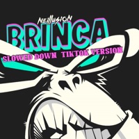 Brinca (Slowed TikTok Version) - Single - Neillusion