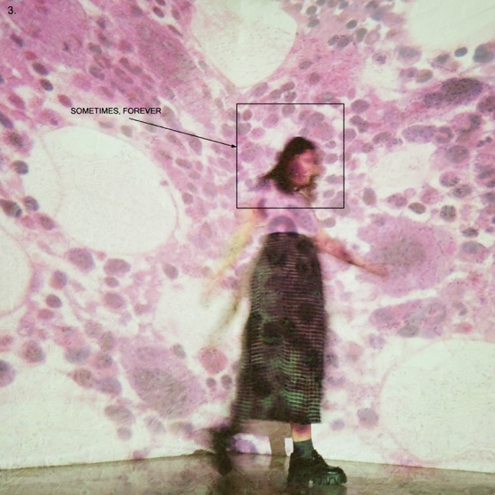 Cover artwork for Shotgun