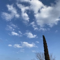 pulling up (feat. lil mike, trueA & lil kodii) - Single - Brutal Witch