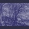 The Golden Eyes of Prye - Asha Patera lyrics