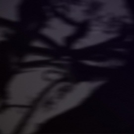 carbon dioxide (feat. Stevyn, Oh Well, rans0m & thrml) 01kon