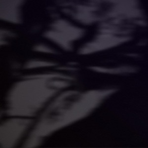 carbon dioxide (feat. Stevyn, Oh Well, rans0m & thrml) - Single