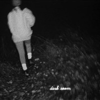 Dark Room (feat. 444Pluto) - Single - IDT
