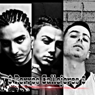 perros callejeros (feat. dtxjace, Carlos Romo & MDBM) - Single