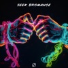 Seek Bromance - Single