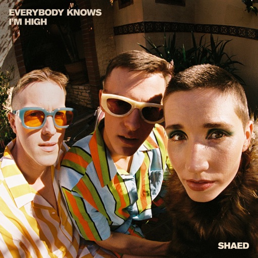Art for Everybody Knows I'm High by Shaed