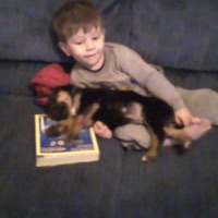 wishing - Single - Nol6ck