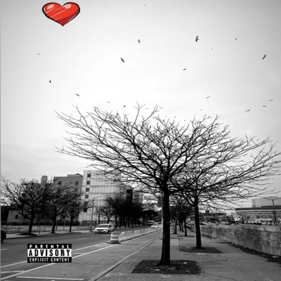 Accept and Elevate - EP