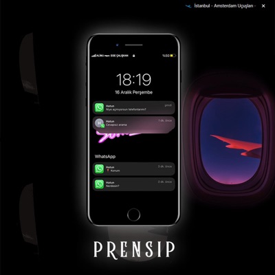 Prensip (feat. Ege Çalışkan) - Single