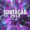 Stream & download Surtação 2014 - Single