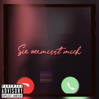 Sie vermisst mich - Single