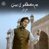 Hum Mustafavi Hain - Single