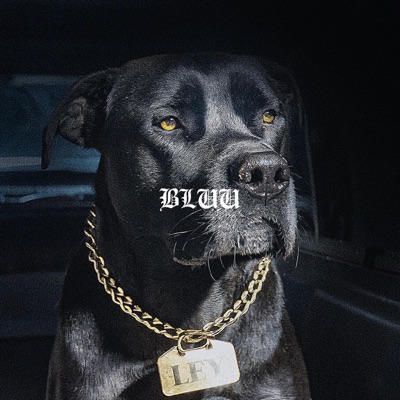 Ley - Single
