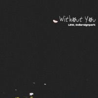 Without You - Single - Lewis Park & Dollarsignpark