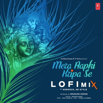 Mera Aapki Kripa Se Lofi Mix - Single