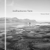 Anfractuous View artwork