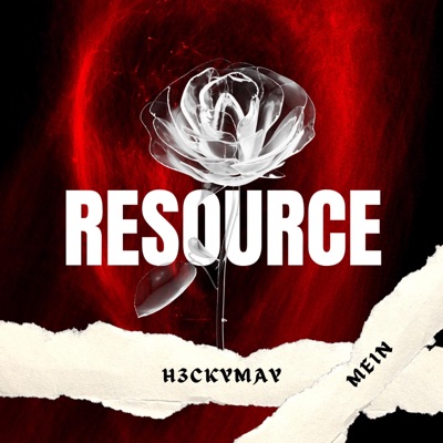 Resource (feat. Mein) - Single