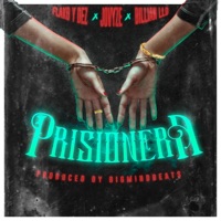 Prisionera (feat. Jovyze & Billian LLD) - Single - Flako y Dez