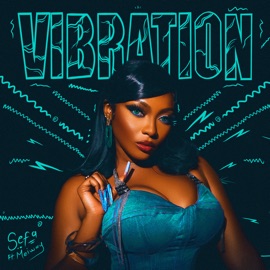 Vibration (feat. Meiway) Sefa