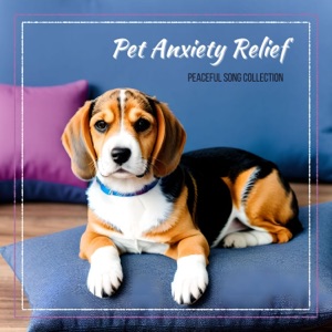 Pet Anxiety Relief - Peaceful Song Collection for Animal Well-being