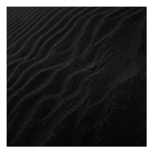 Freudian Trip - Single