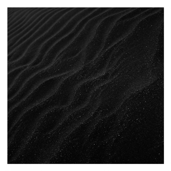 Freudian Trip - Single