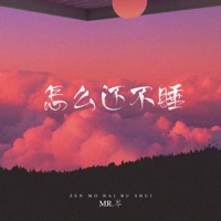 Why not sleep - Single - Mr.岑