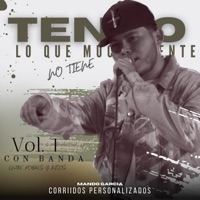 Tengo Lo Que Mucha Gente No Tiene (Con Banda, Vol. 1 (feat. Mando Garcia) - Single - Corridos Personalizados