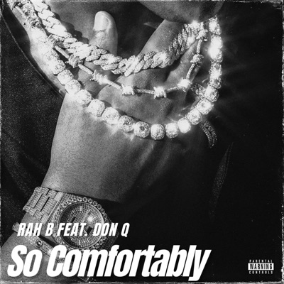 So Comfortably (feat. Don Q) - Single
