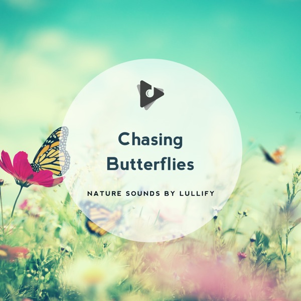Chasing Butterflies