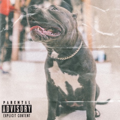 Scam (feat. 4Steppa & ScamBamWam) - Single