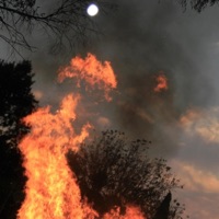 F**k 'Em All - Single - VESSEL