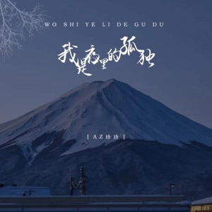 我是夜里的孤独 - Single