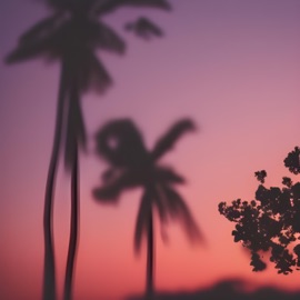 cake on sunday (feat. ghostschreiber & Moritz Rummel) AWAO