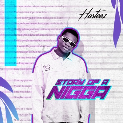 Story of a Nigga - Single