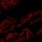 DECAY! (feat. KILLOMELET)