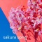 Sakura Song - supabo. lyrics