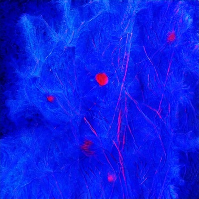 Sea of Minds - Single