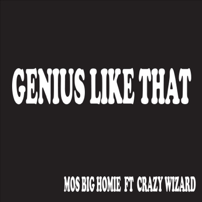 Genius Like That (feat. Crazy Wizard) - Single