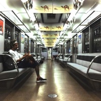 Camel Concerto - 2rabu