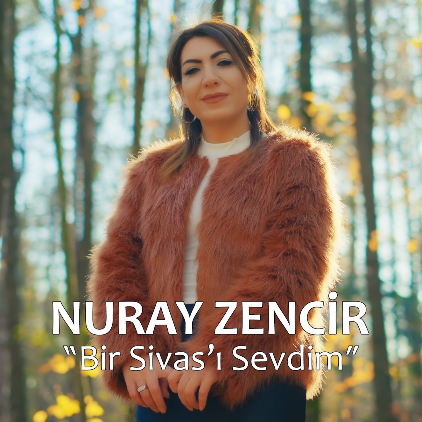 Bir Sivas'ı Sevdim - Single