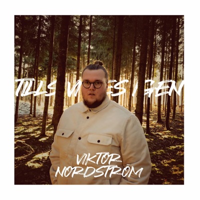 Tills vi ses igen - Single